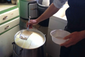 Palazzolo Acreide: Ricottaost och gårdstur med provsmakning