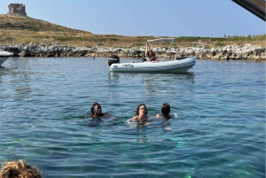 Палермо: экскурсия на лодке по Монделло и Изола-делле-Феммине с напитком