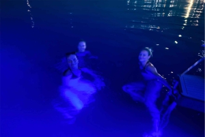 Палермо: экскурсия на лодке по Монделло и Изола-делле-Феммине с напитком