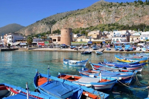 Palermo: Privluchthaventransfer naar het stadscentrum