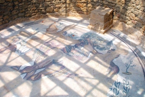 Piazza Armerina: Tour dei mosaici della Villa Romana del Casale