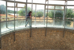 Piazza Armerina: Tour dei mosaici della Villa Romana del Casale