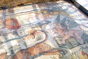 Piazza Armerina: Tour dei mosaici della Villa Romana del Casale