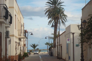 Privat tur til Monreales katedral og kloster, keramisk laboratorium