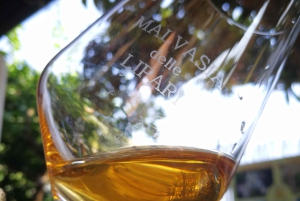 Опыт Салины Каперс