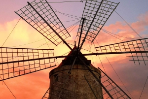 トラパニの塩田：2時間30分 塩ツアー