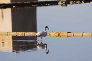 トラパニの塩田：2時間30分 塩ツアー