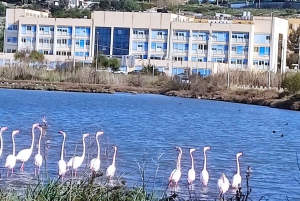 トラパニの塩田：2時間30分 塩ツアー