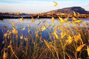 トラパニの塩田：2時間30分 塩ツアー