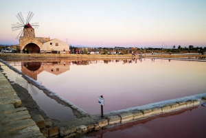 トラパニの塩田：2時間30分 塩ツアー