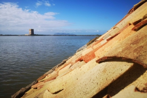 トラパニの塩田：2時間30分 塩ツアー