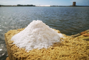 トラパニの塩田：2時間30分 塩ツアー