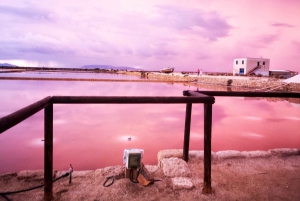 トラパニの塩田：2時間30分 塩ツアー