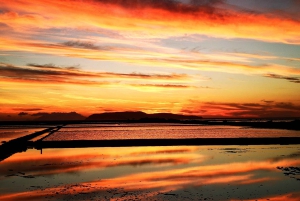 トラパニの塩田：2時間30分 塩ツアー