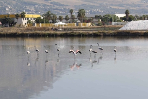 トラパニの塩田：2時間30分 塩ツアー