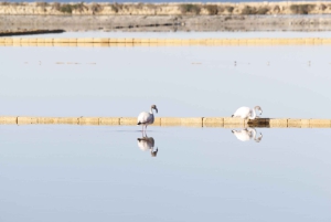 トラパニの塩田：2時間30分 塩ツアー