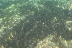 Scala dei Turchi, villages et street food : une aventure en vélo électrique sicilien !