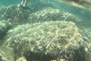 Scala dei Turchi, villages et street food : une aventure en vélo électrique sicilien !