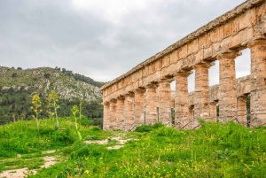 Segesta, Erice and Salt Pans Full-Day Excursion from Palermo
