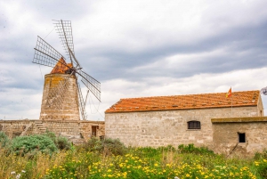Segesta, Erice and Salt Pans Full-Day Excursion from Palermo