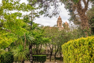Segesta, Erice and Salt Pans Full-Day Excursion from Palermo
