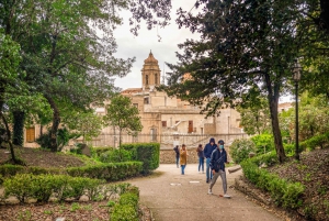 Segesta, Erice and Salt Pans Full-Day Excursion from Palermo