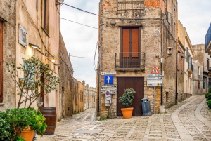 Segesta, Erice and Salt Pans Full-Day Excursion from Palermo