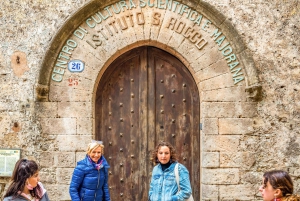 Segesta, Erice and Salt Pans Full-Day Excursion from Palermo