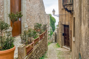 Segesta, Erice and Salt Pans Full-Day Excursion from Palermo
