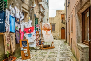 Segesta, Erice and Salt Pans Full-Day Excursion from Palermo
