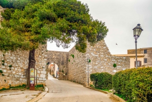Segesta, Erice and Salt Pans Full-Day Excursion from Palermo