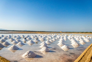 Segesta, Erice and Salt Pans Full-Day Excursion from Palermo
