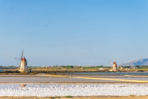 Segesta, Erice and Salt Pans Full-Day Excursion from Palermo