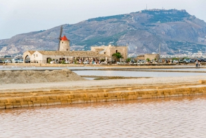 Segesta, Erice and Salt Pans Full-Day Excursion from Palermo