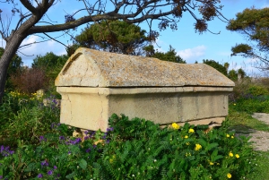 Selinunte: Archeological Park Entry Ticket & App Audioguide