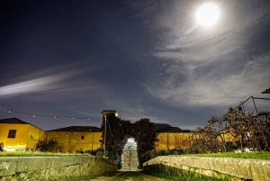 Cours de cuisine sicilienne dans l'historique baglio Florio Adamo