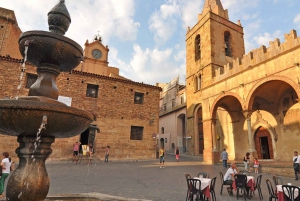 SICILIANSKE LANDSBYER & RICOTTA-FEST afgang fra Cefalù-området