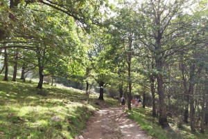 SICILIANSKE LANDSBYER & RICOTTA-FEST afgang fra Cefalù-området