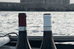 Siracusa: Degustazione di vini in barca con tour e cibo gourmet