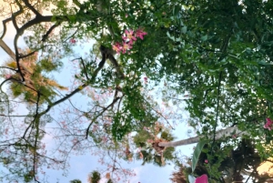 パレルモ植物園を散策しましょう