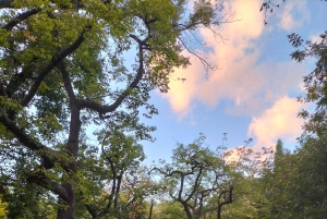 パレルモ植物園を散策しましょう