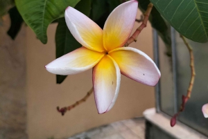 パレルモ植物園を散策しましょう