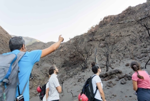 Stromboli: Sunset Trekking at Sciara del Fuoco