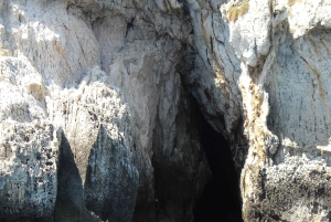 Syracuse: boat tour of sea caves and Ortigia, Papyrus Excursion