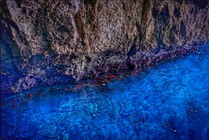 Syracuse: boat tour of sea caves and Ortigia, Papyrus Excursion