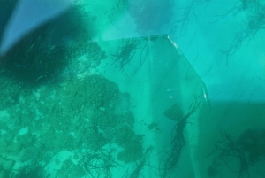 Syrakusa: Rannikon ja meren luolat Täysin läpinäkyvä venekierros