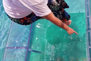 Syrakusa: Rannikon ja meren luolat Täysin läpinäkyvä venekierros