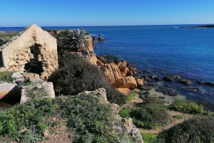 Syracuse : Pillirina, Ortigia, grottes marines et plongée en apnée