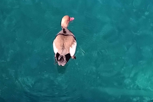 Taormina: Passeio de barco em Isola Bella com Prosecco a bordo