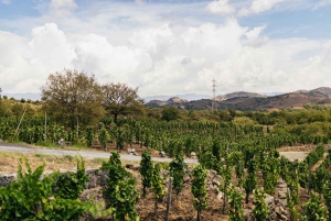 Taormina or Giardini Naxos: Off-Road ATV Tour of Mount Etna